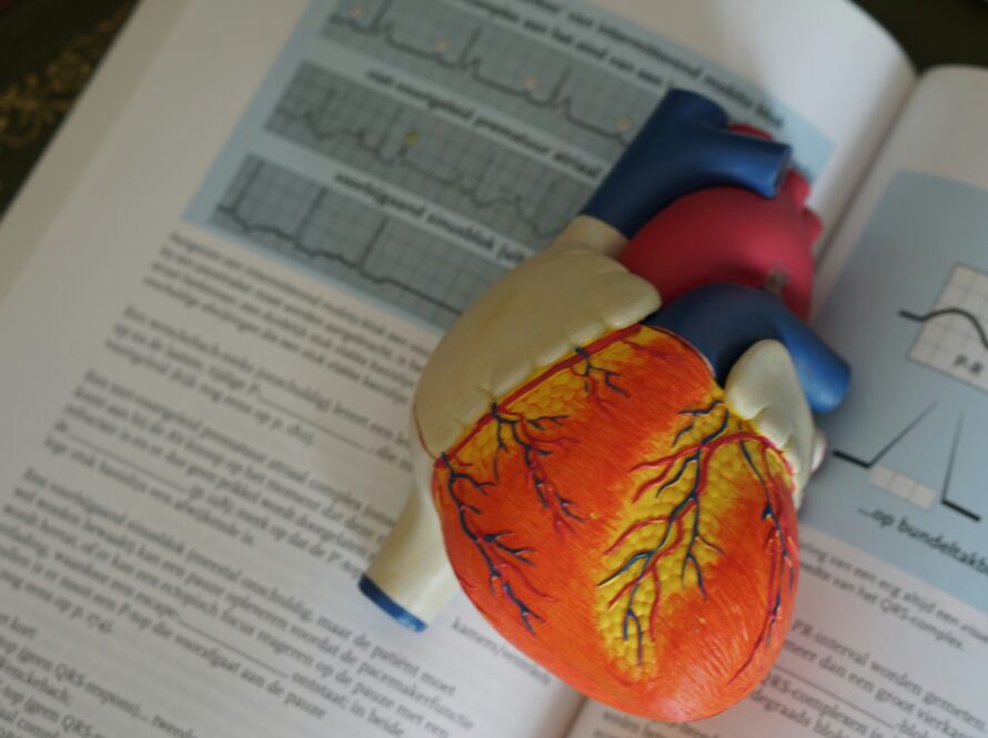 Dr. Shamini Parameswaran- Cardiovascular Engineering
