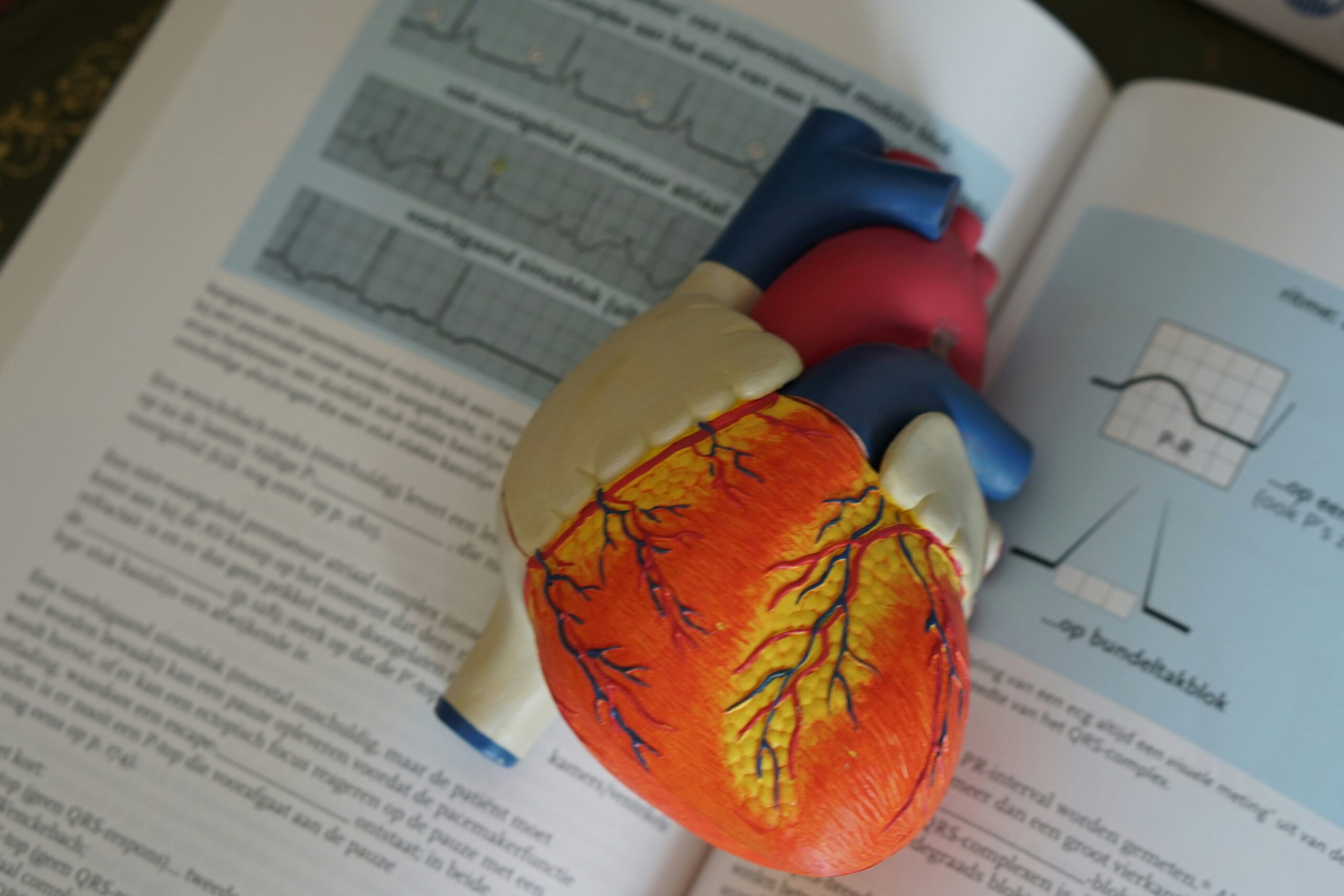 Dr. Shamini Parameswaran- Cardiovascular Engineering